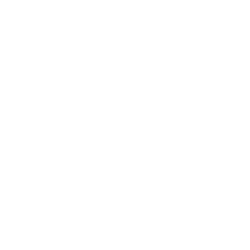 Far Eastern Sublime logo